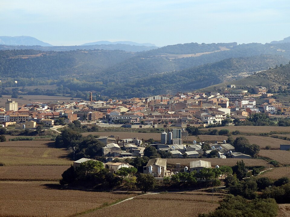 Mireia Clua Geli